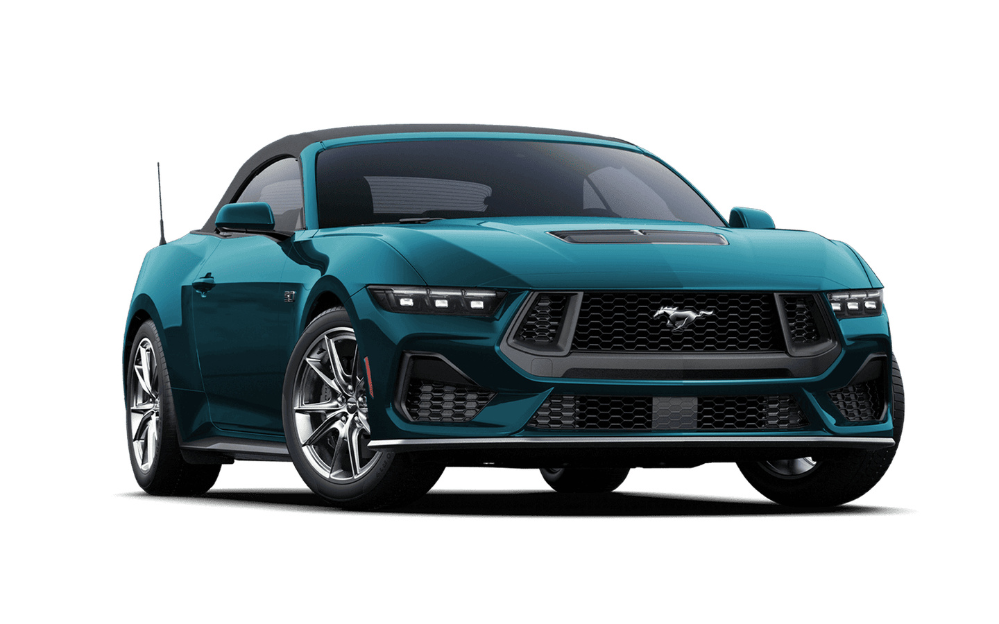Mustang