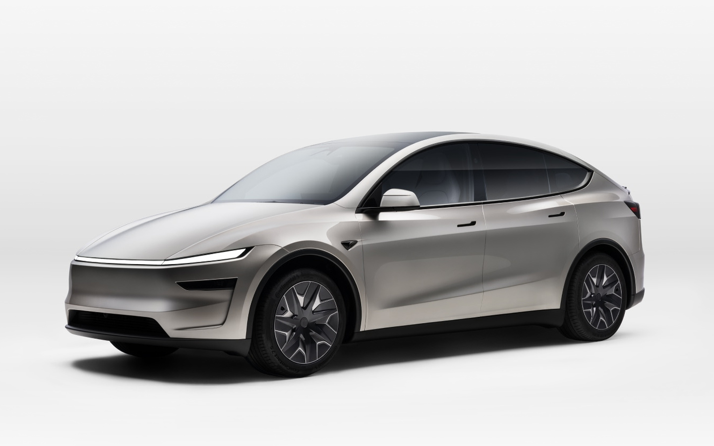 Model Y L