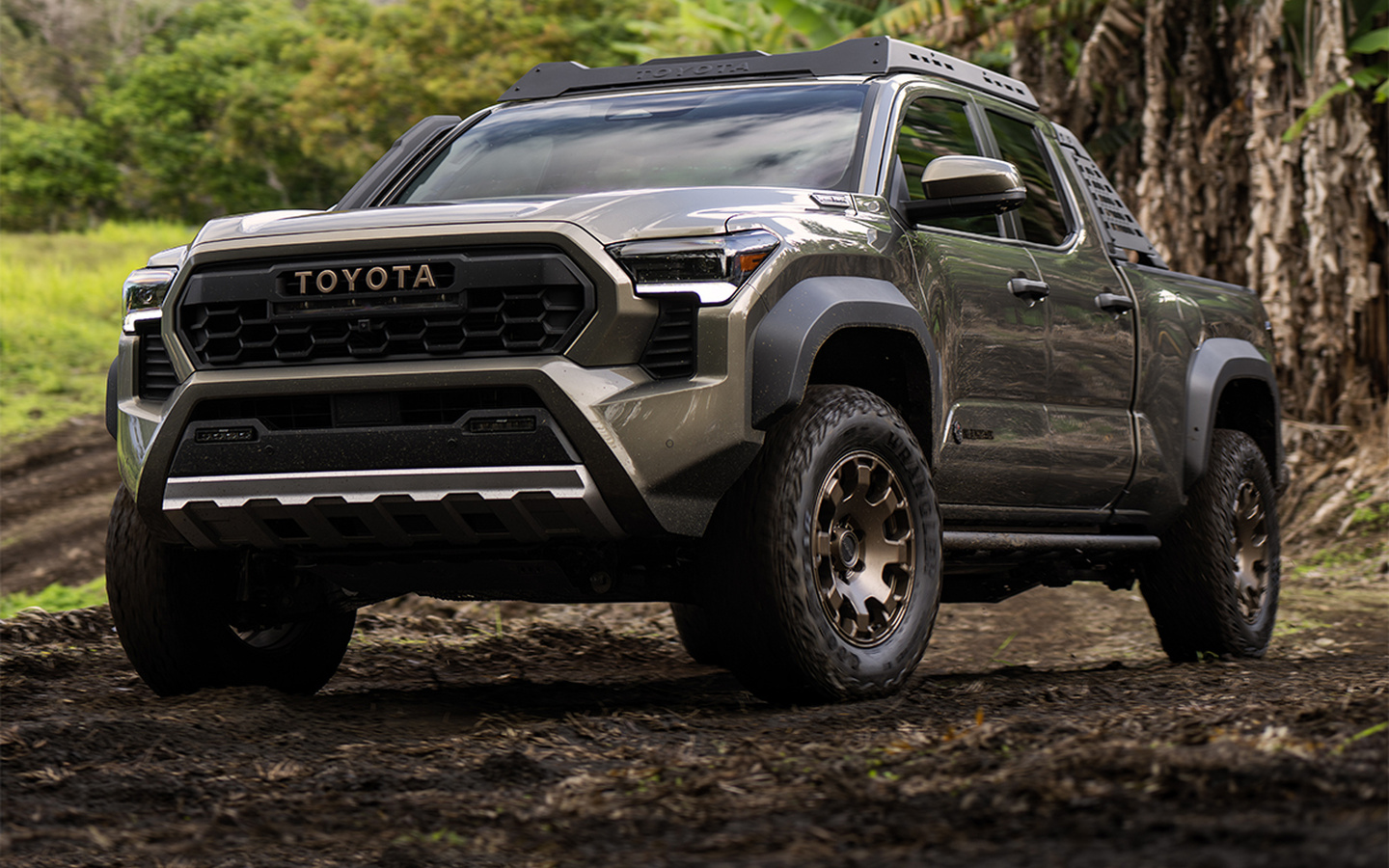 Tacoma
